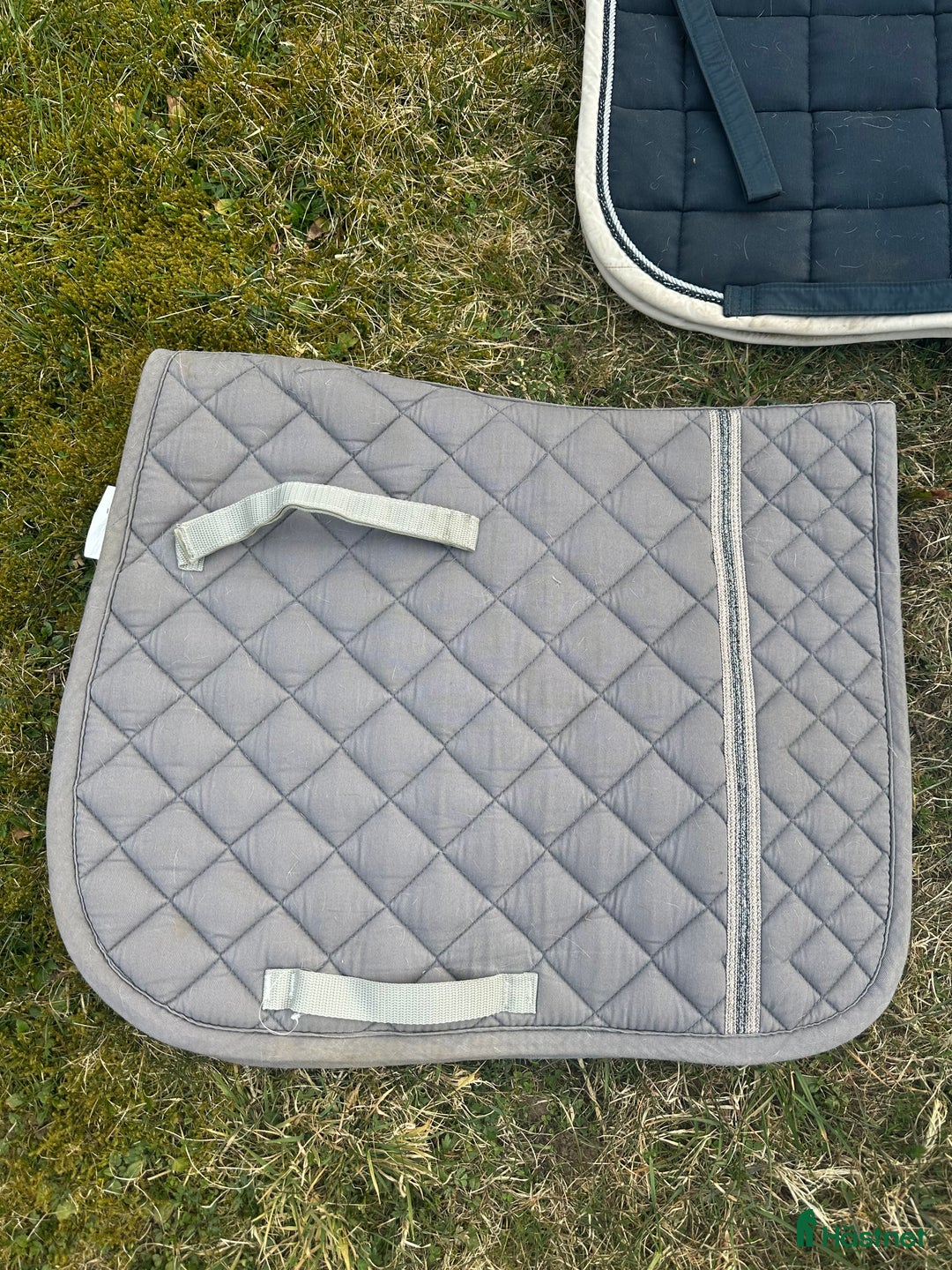 Schabrak & Vojlockar hästutrustning till salu: Ponny Dressyrschabrak i Kinna - Annons 3