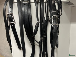 Körselar körning till salu: Sele / Maratonsele mkt bra skick i Stockholm - Annons 15