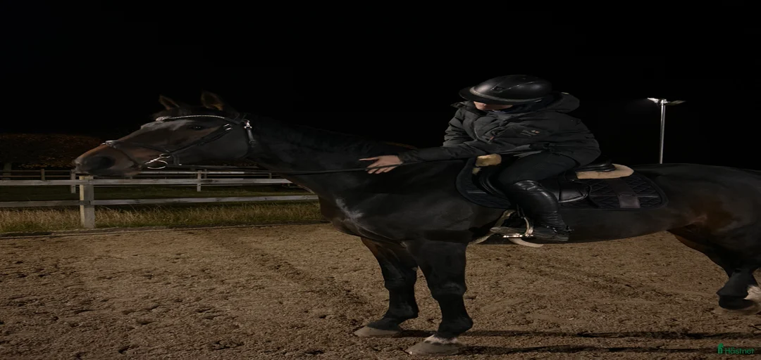 Galleribild {{count}}