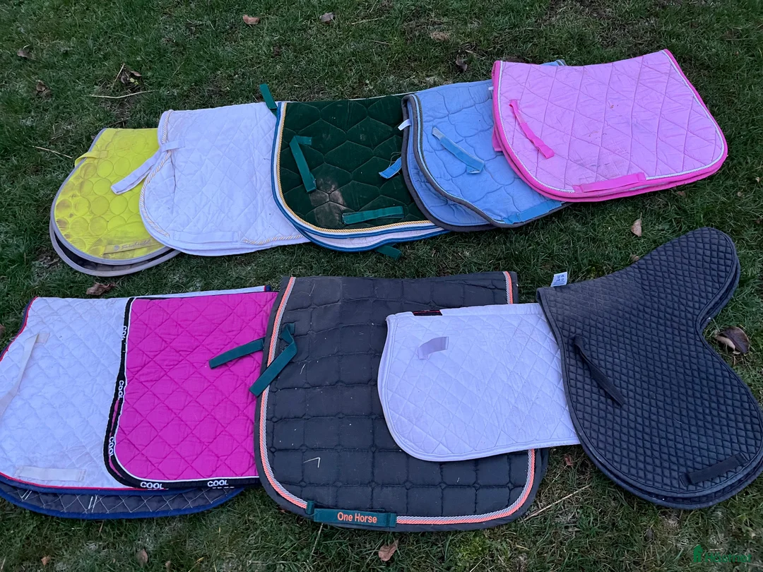 Schabrak & Vojlockar hästutrustning till salu: Paket med 10 schabrak i Västra Ämtervik - Annons 3