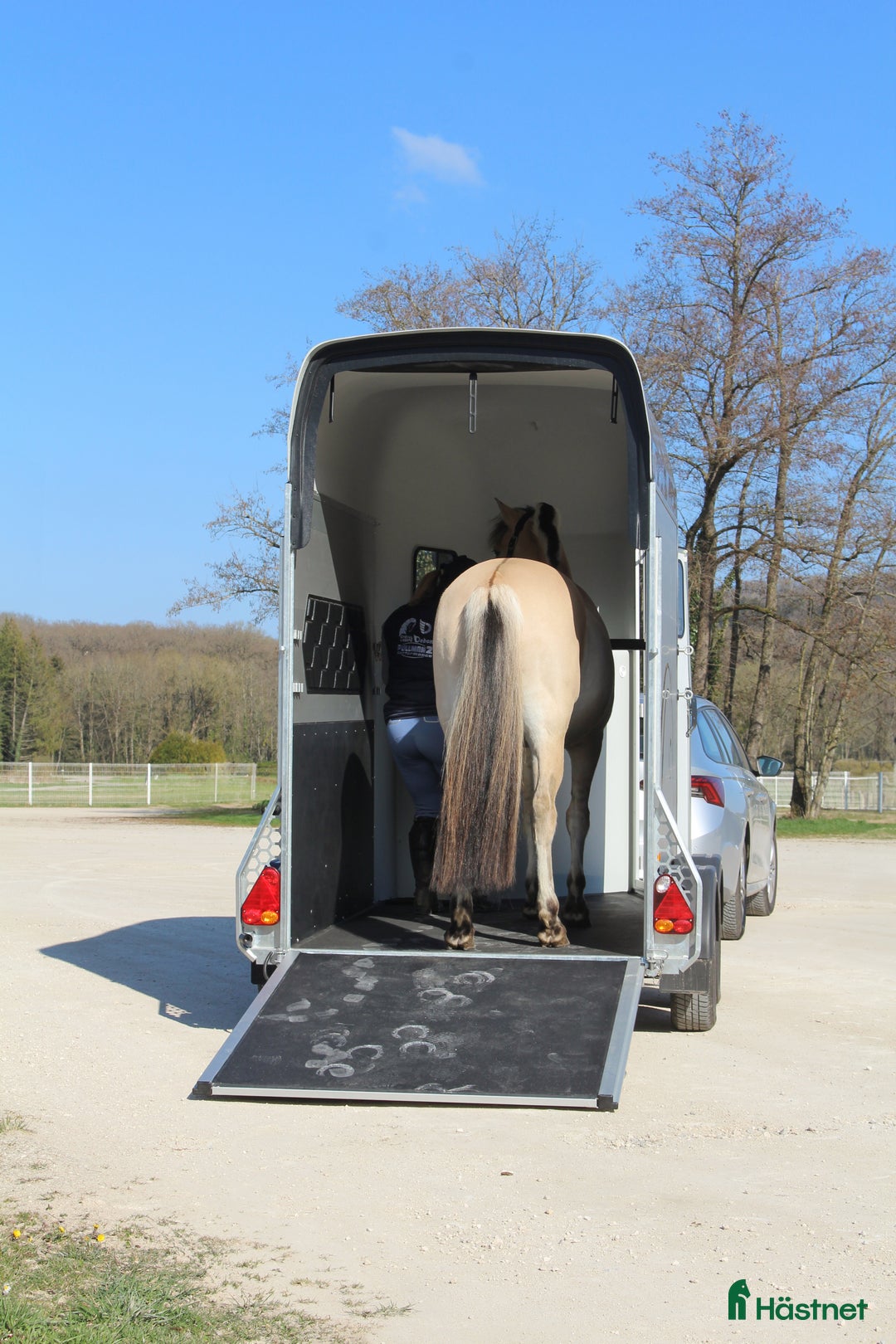 Hästtransporter  fordon & transport till salu: Gold One Origins i Harestad - Annons 8