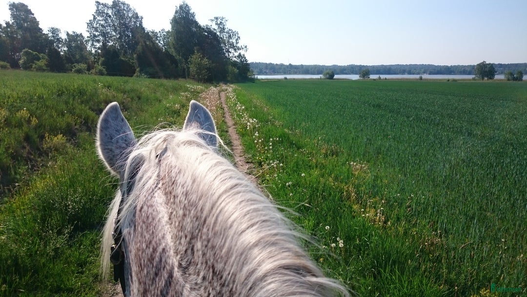  stallplats finnes: Boxplatser centralt i Vallentuna i Vallentuna - Annons 1
