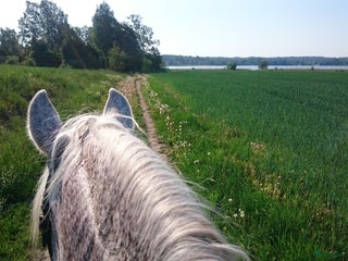 stallplats finnes: Boxplatser centralt i Vallentuna i Vallentuna - Annons 1