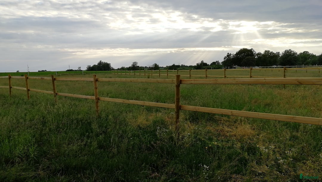  stallplats finnes: Ledig boxplats i Kävlinge - Annons 2