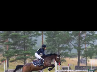 foderhäst Ponny sökes på foder 🐎 - Annons 1