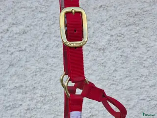 Övrig Hästutrustning hästutrustning Monty Roberts Duallygrimma - Annons 2