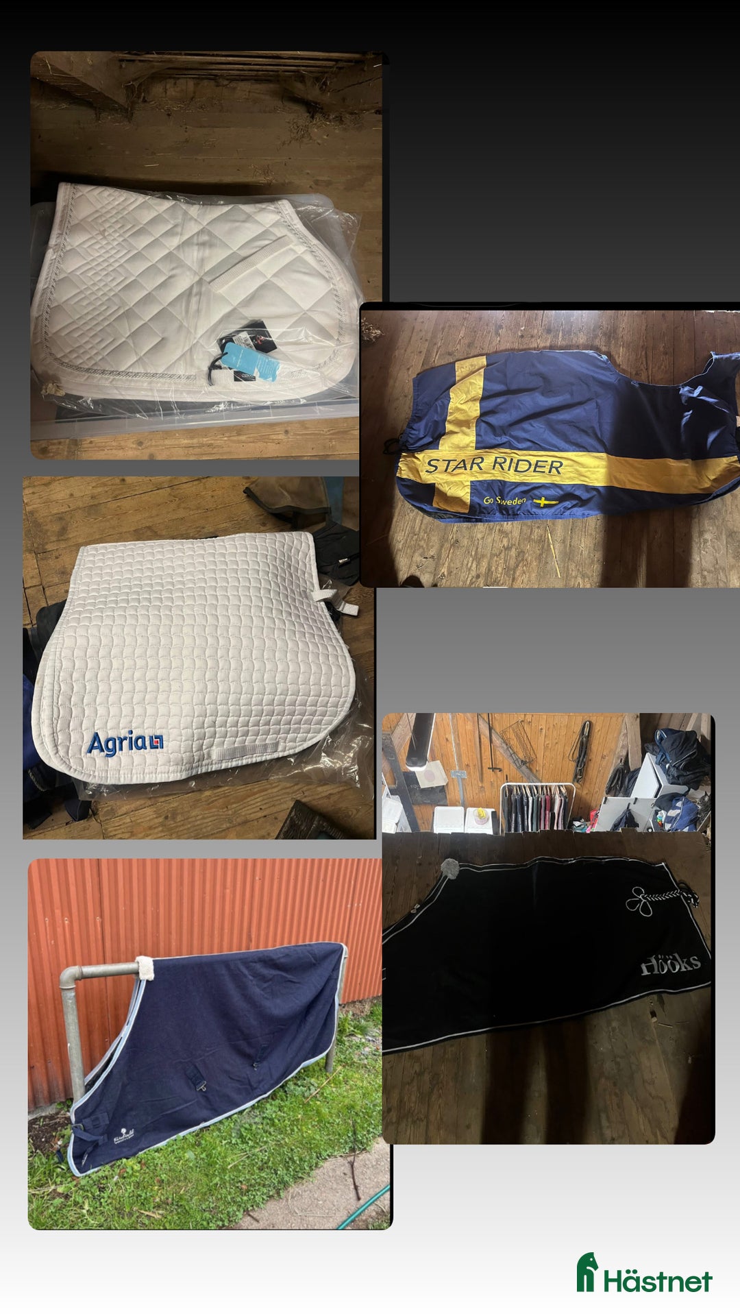 Schabrak & Vojlockar hästutrustning till salu: Säljer häst och ryttare utrusning  i Ödåkra - Annons 7