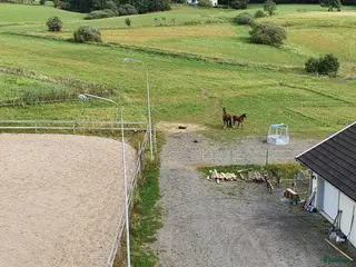 stallplats Plats i mysig lösdrift - Annons 1