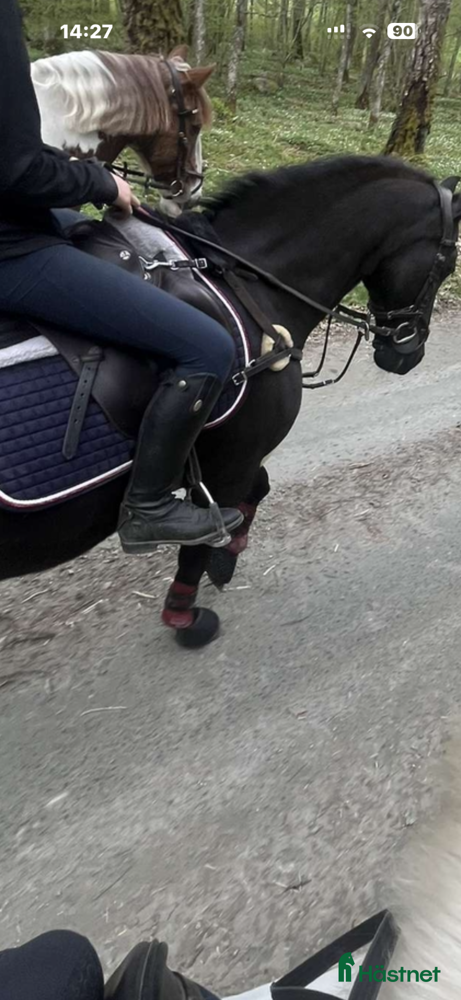 Ridstövlar ryttarutrustning till salu: snygga ridstövlar - Annons 1