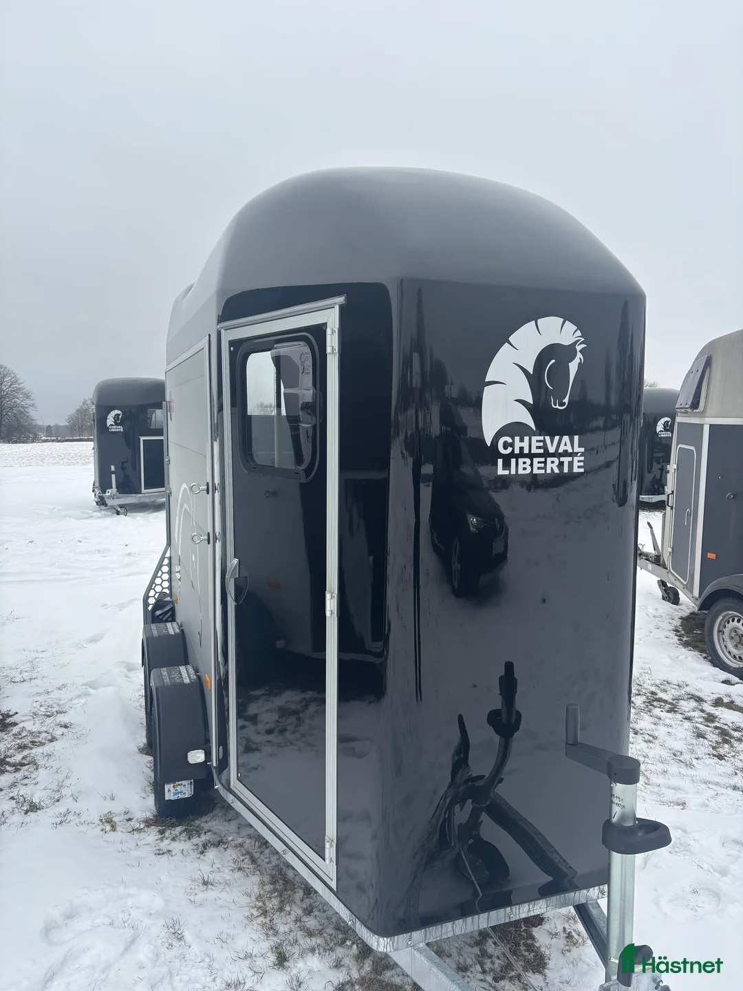 Hästtransporter  fordon & transport till salu: Cheval Gold One - Annons 2