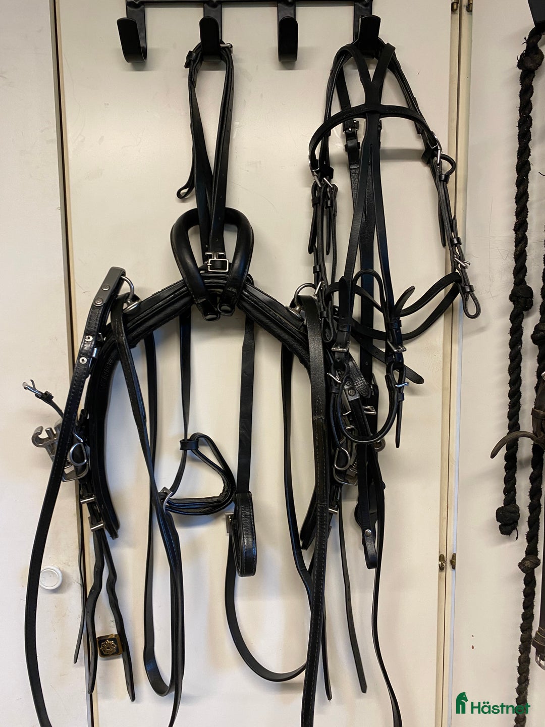 Travselar trav till salu: Travsele för ponny  i Njutånger - Annons 1