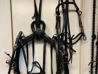 Travselar trav till salu: Travsele för ponny i Njutånger - Annons 1