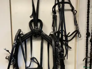 Travselar trav till salu: Travsele för ponny i Njutånger - Annons 18