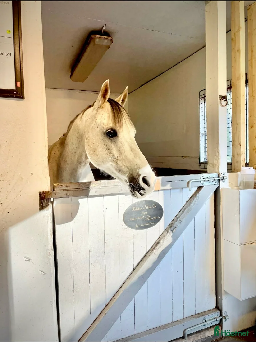  stallplats finnes: Stallplats söder om Stockholm  i Huddinge - Annons 3