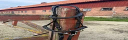 Sadlar hästutrustning till salu: Sadel+träns - Annons 7