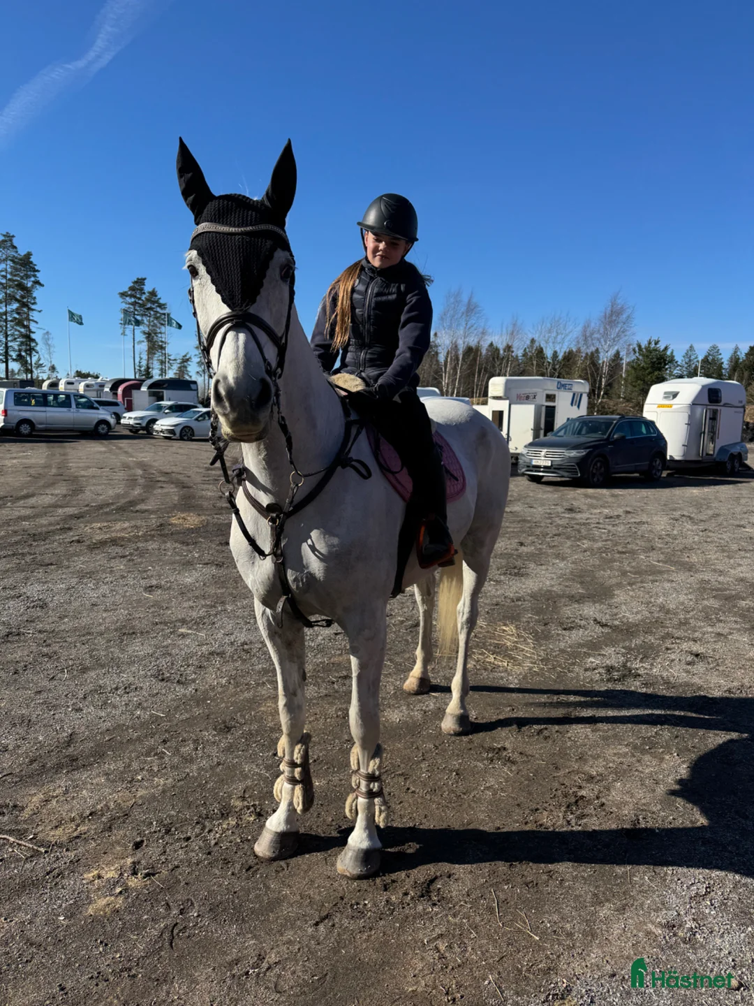 Allround hästar till salu: Byte/säljes - Annons 1