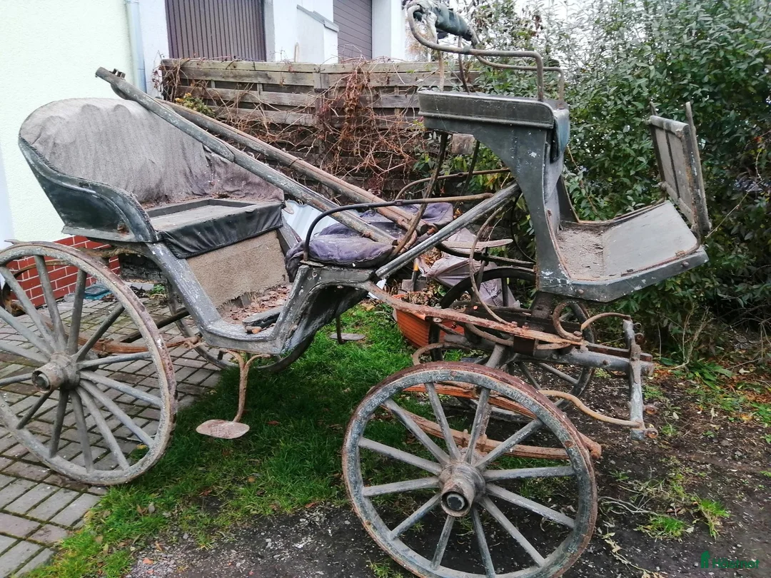Övrig Körutrustning körning till salu: 1904r. i Stockholm - Annons 22