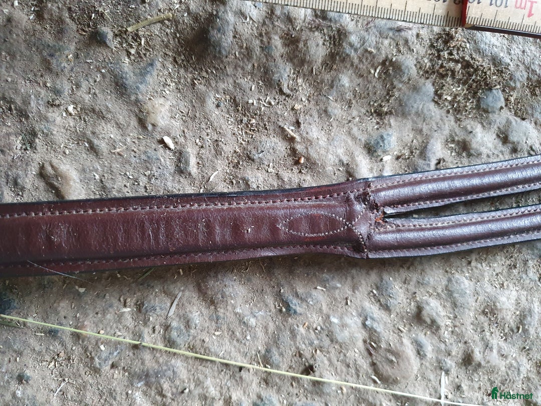 Övrig Hästutrustning hästutrustning till salu: Brun martingal i Näsåker - Annons 1