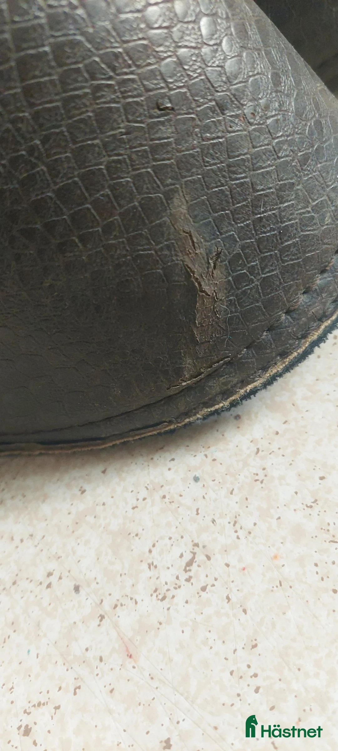 Övrig Hästutrustning hästutrustning till salu: Boots - Annons 3