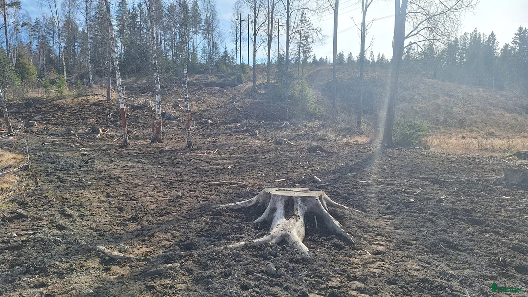  stallplats finnes: Lediga stallplatser Tullinge (box resp. lösdrift) - Annons 9