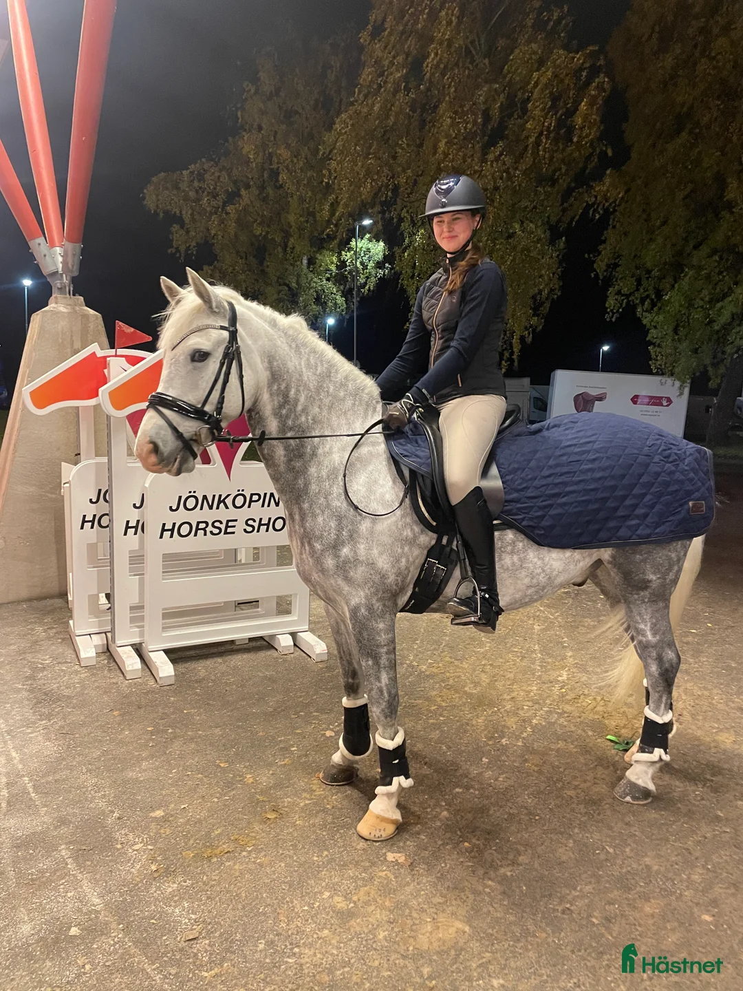 Dressyr hästar till salu: Fantastisk ponny med stor utstrålning  - Annons 7