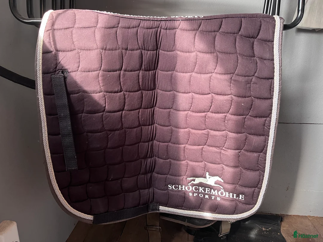 Schabrak & Vojlockar hästutrustning till salu: Schokenmöhle dressyr schabrak  i Borlänge - Annons 1