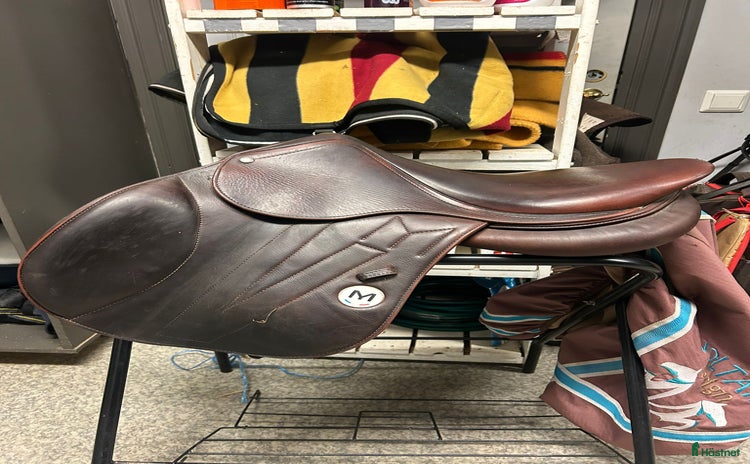 Sadlar hästutrustning till salu i Ramsele - Annons 4