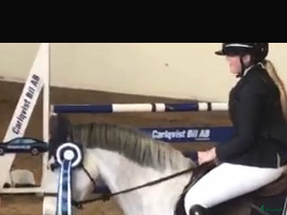 hästar Allround häst i Värends Nöbbele - Annons 16