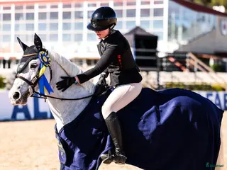 hästar En riktig rosett plockare i lägre klasser i Norra Sorunda - Annons 3