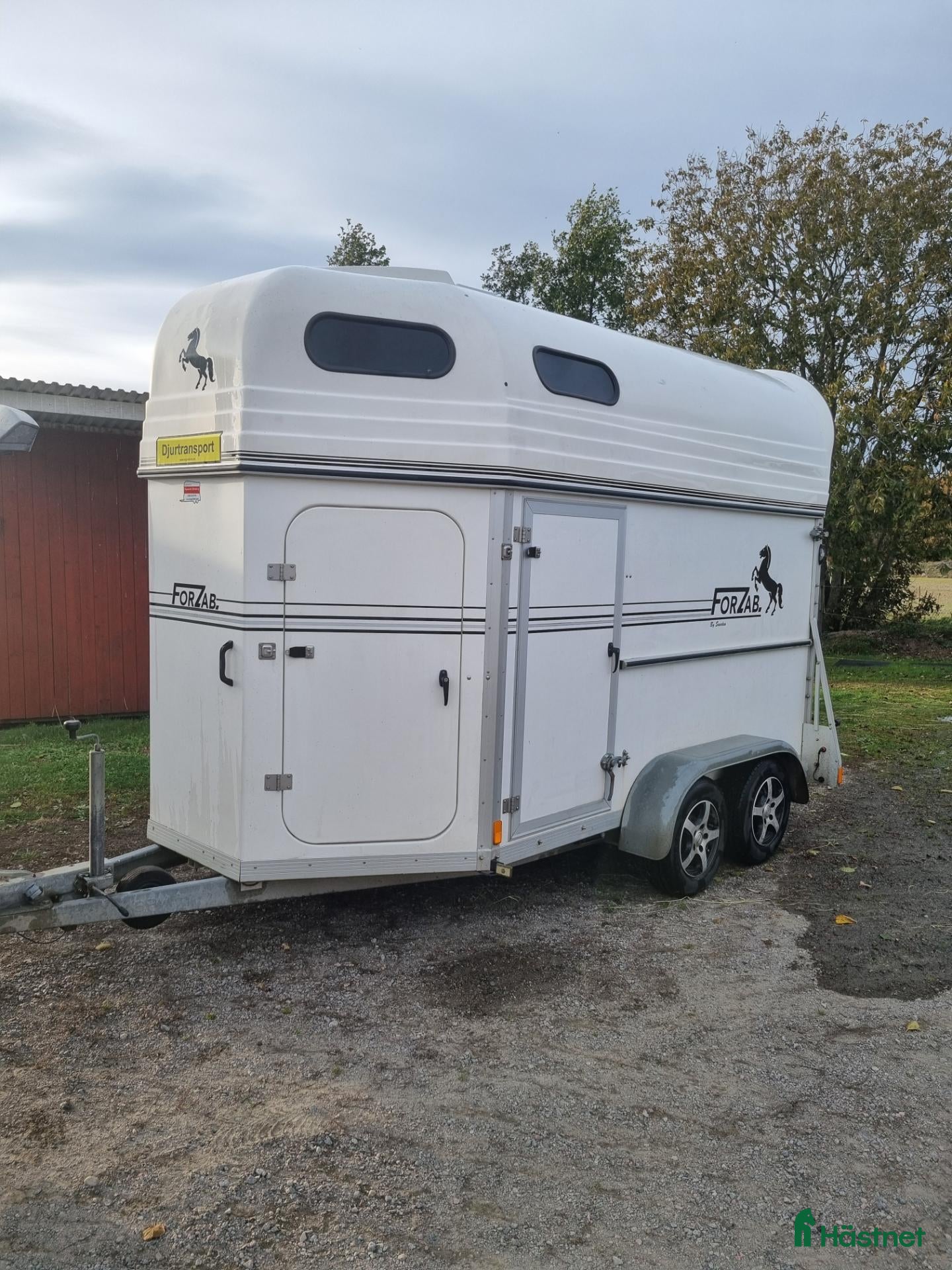 Hästtransporter  fordon & transport till salu: Forzab Hästtransport  - Annons 16