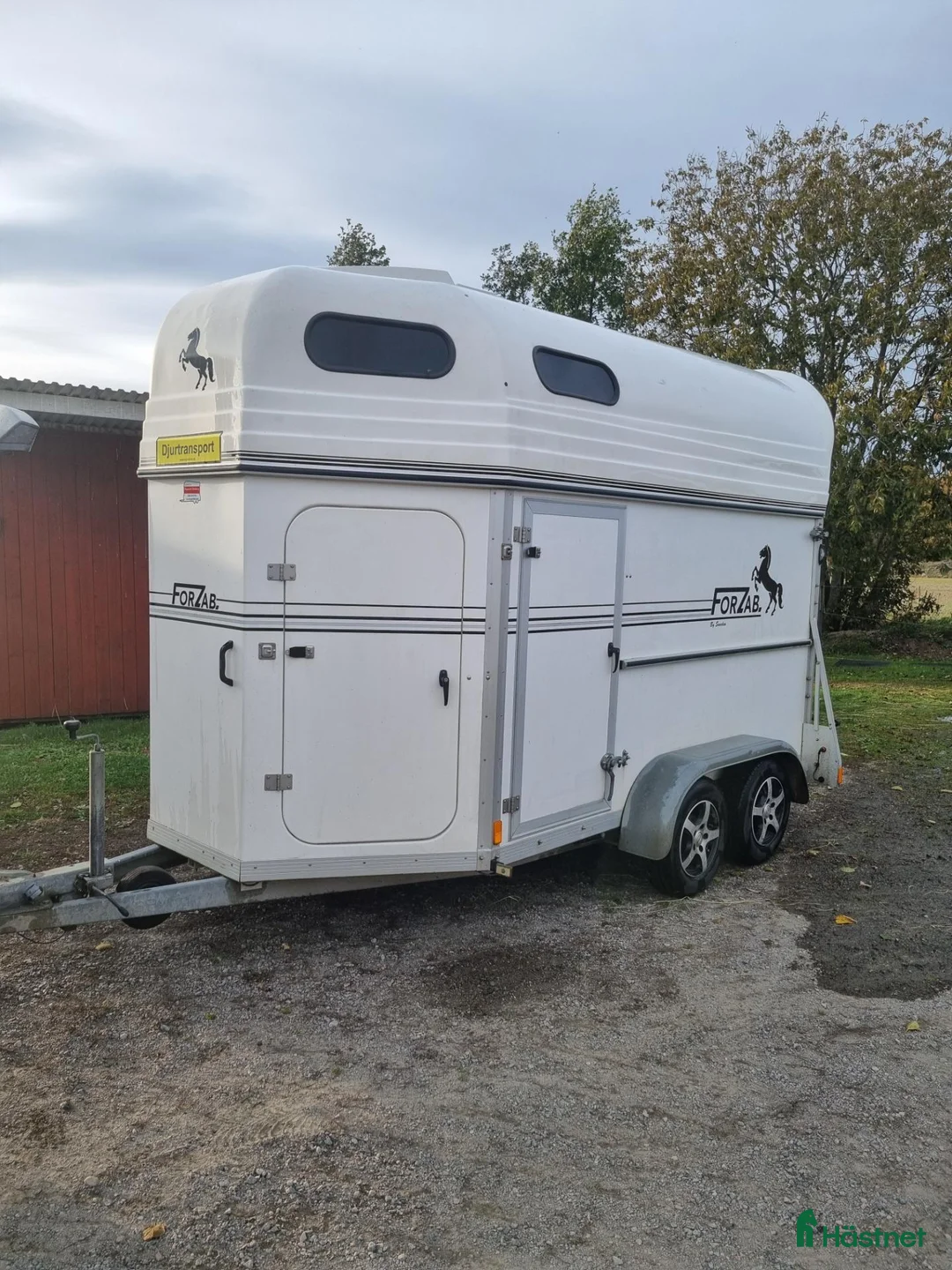 Hästtransporter  fordon & transport till salu: Forzab Hästtransport  - Annons 1