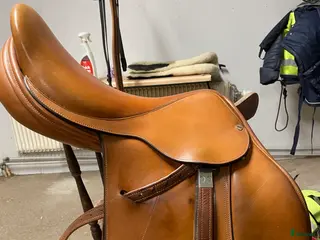 Sadlar hästutrustning Frank Baines - Annons 13
