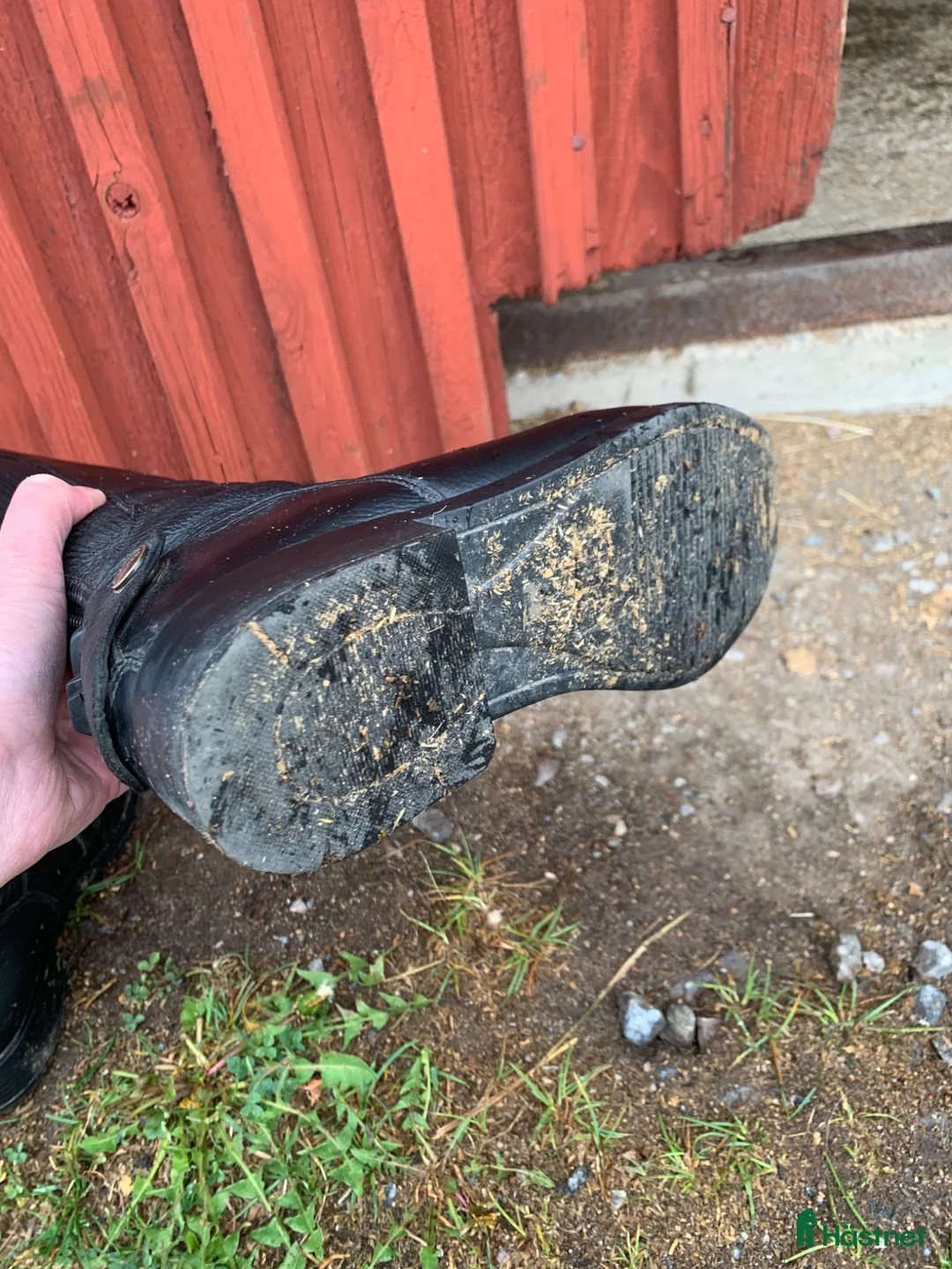 Ridstövlar ryttarutrustning till salu: HKM ridstövlar  - Annons 5