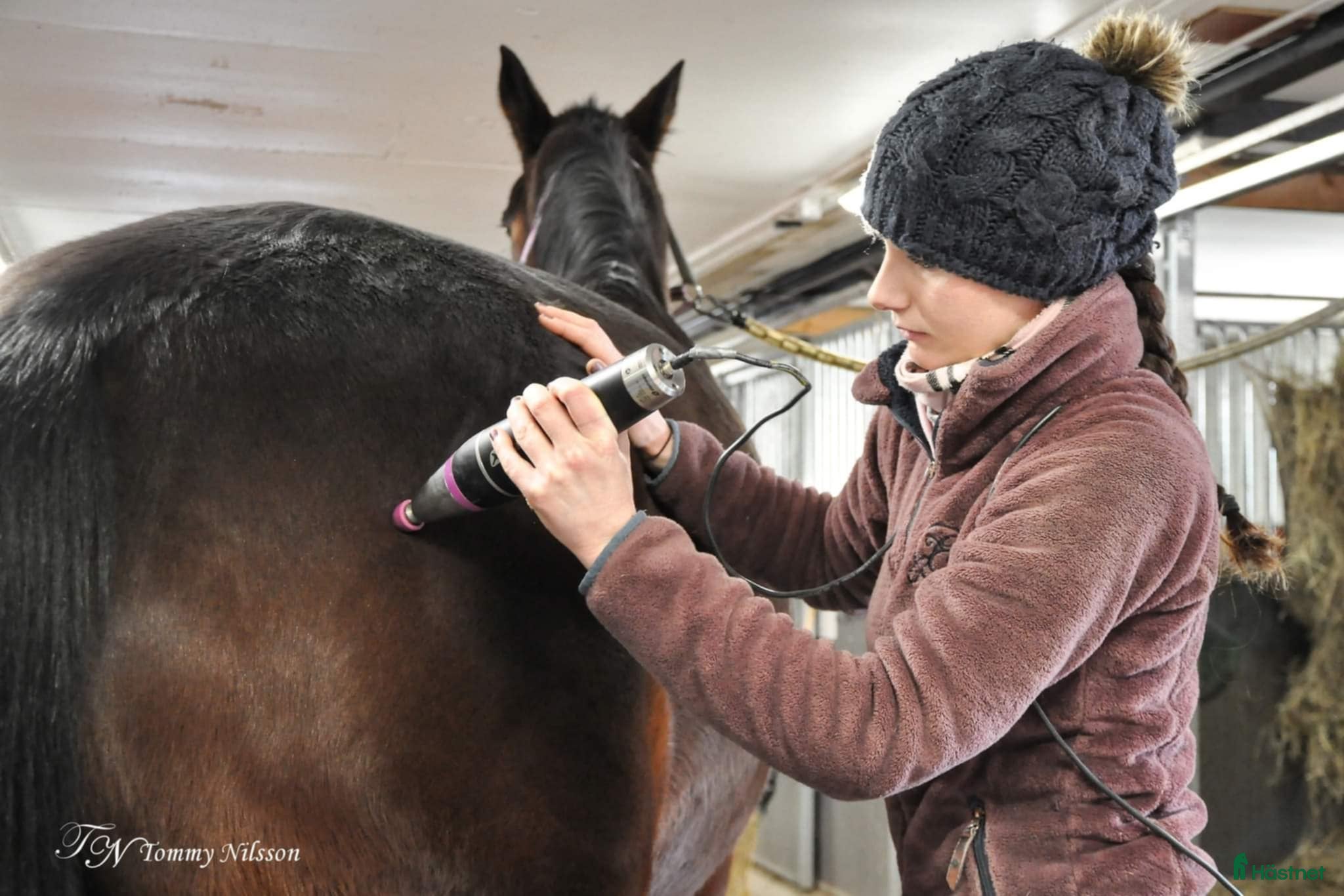  hästservice Djupvågsbehandling - Annons 7