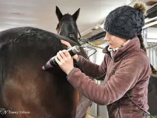 hästservice Djupvågsbehandling - Annons 7