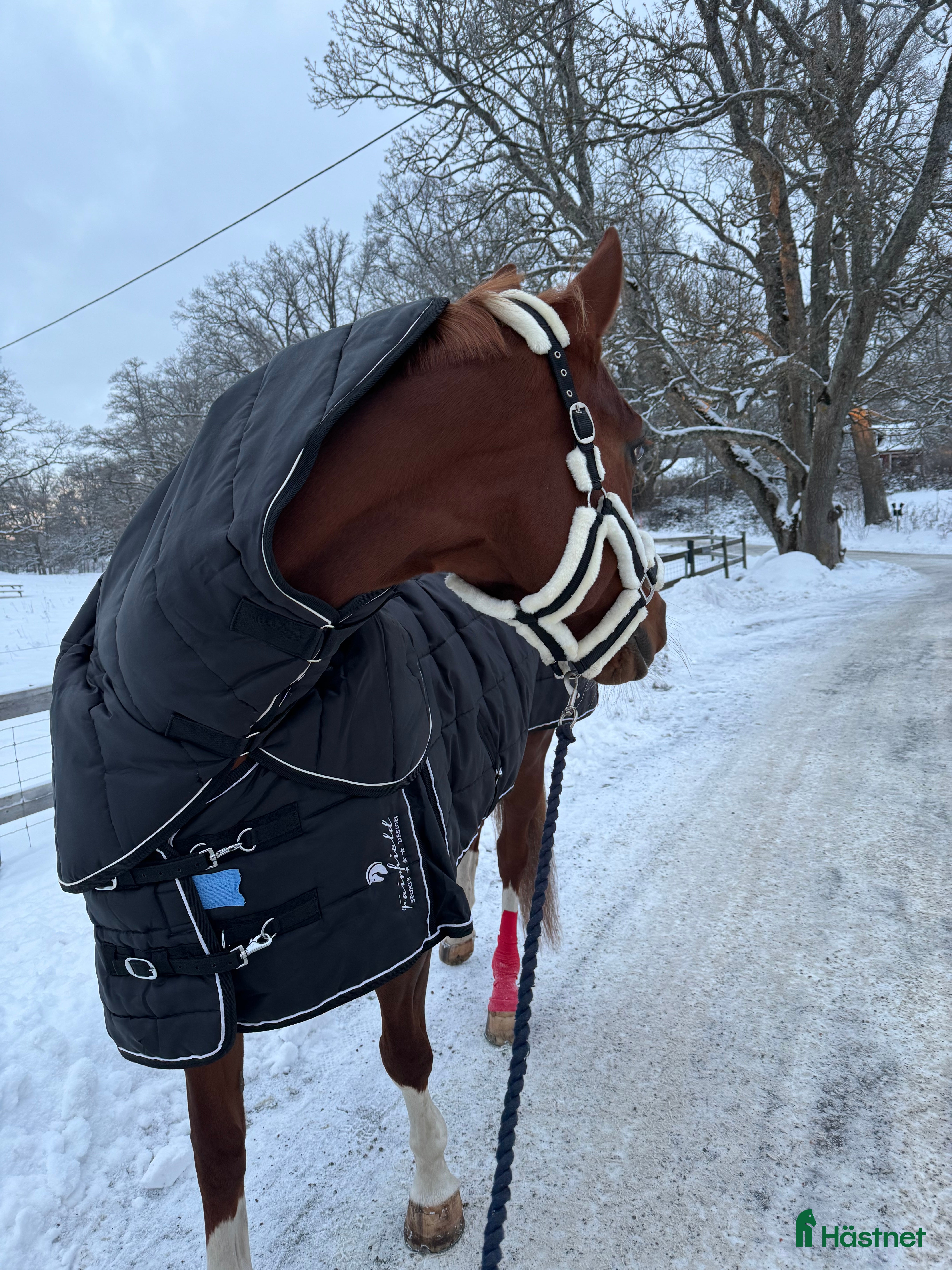 Täcken hästutrustning till salu: 300gr innetäcke m. Hals i Värmdö - Annons 8