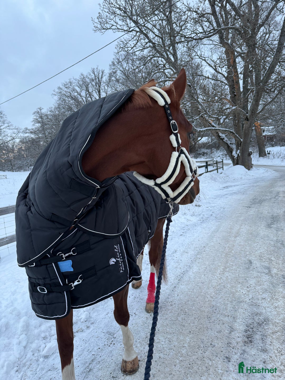 Täcken hästutrustning till salu: 300gr innetäcke m. Hals i Värmdö - Annons 1