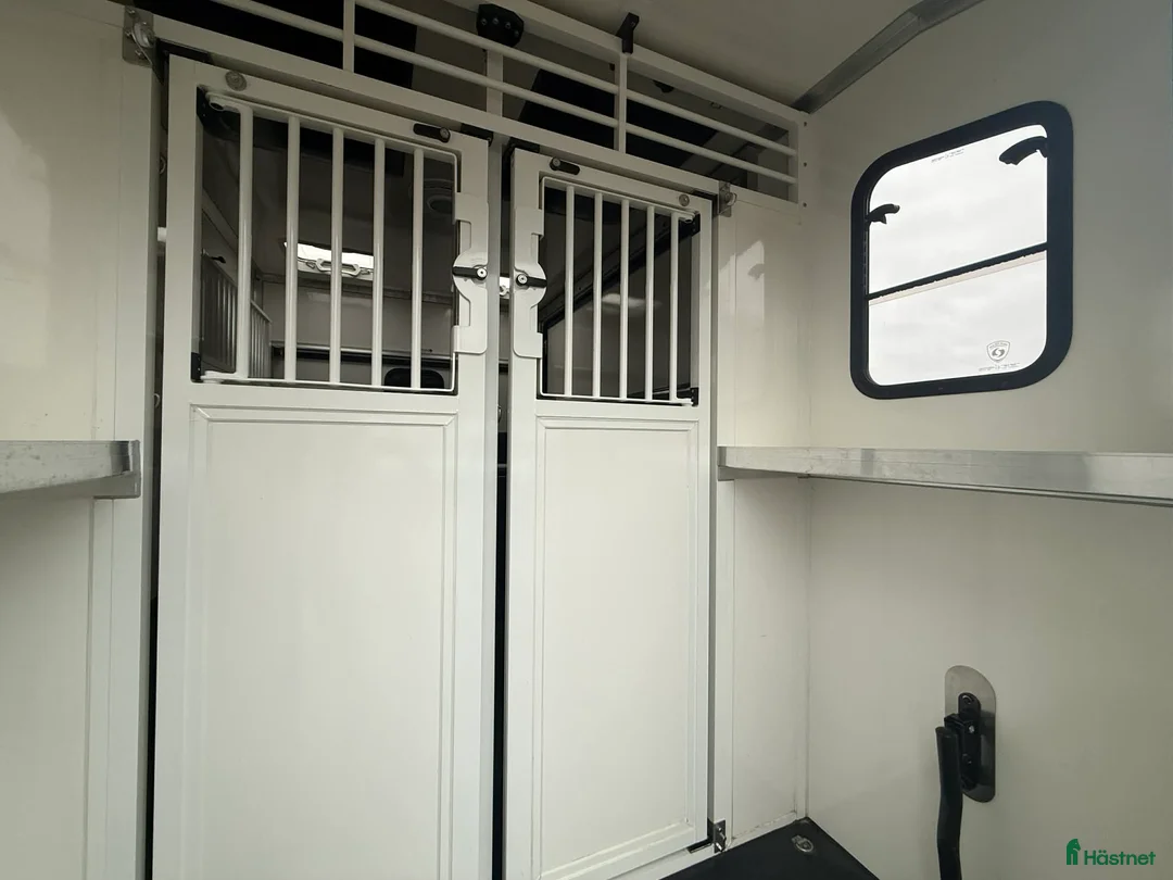 Hästlastbilar  fordon & transport till salu: PARAGAN EXCELSION 5XL STUTERI  i Köping - Annons 10