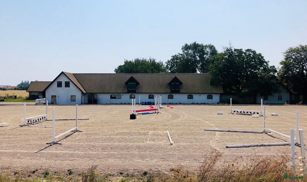  stallplats finnes: Boxplats på Vellinge Väster uthyres i Vellinge - Annons 1