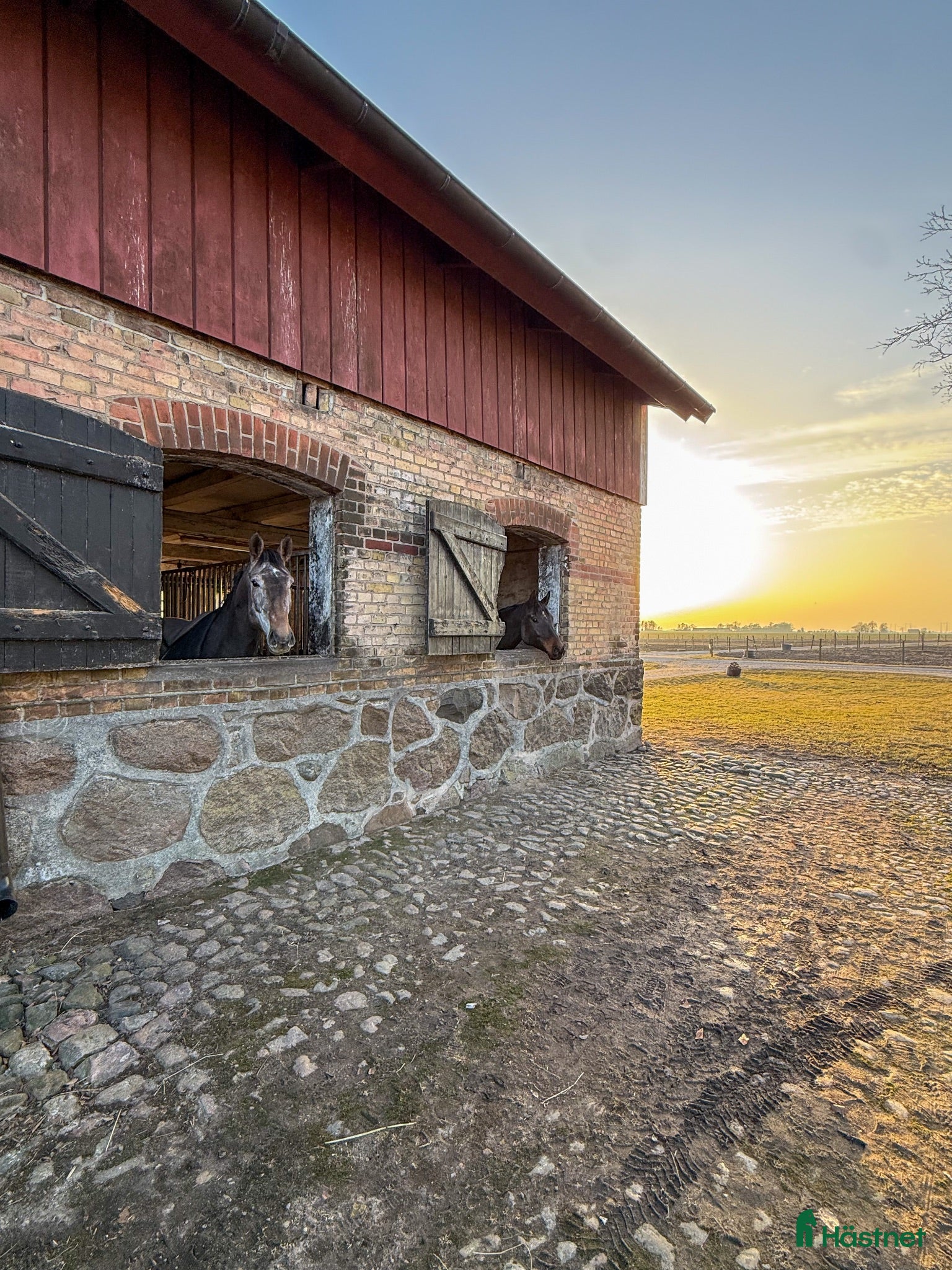  stallplats finnes: Välkommen till Stall MB - Annons 3