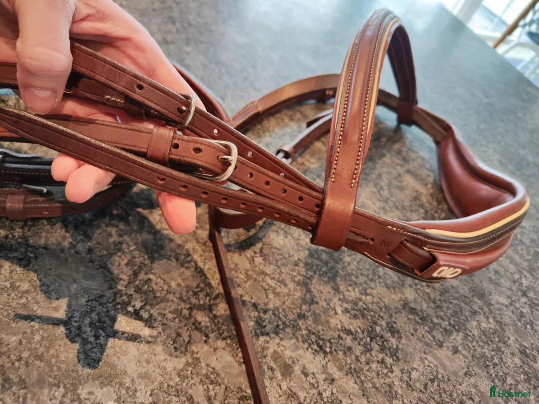 Träns hästutrustning till salu: Nytt CWD träns - Annons 5