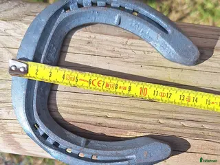 Övrig Hästutrustning hästutrustning Quality Fitzwygram balanssko m. överrullning - Annons 23