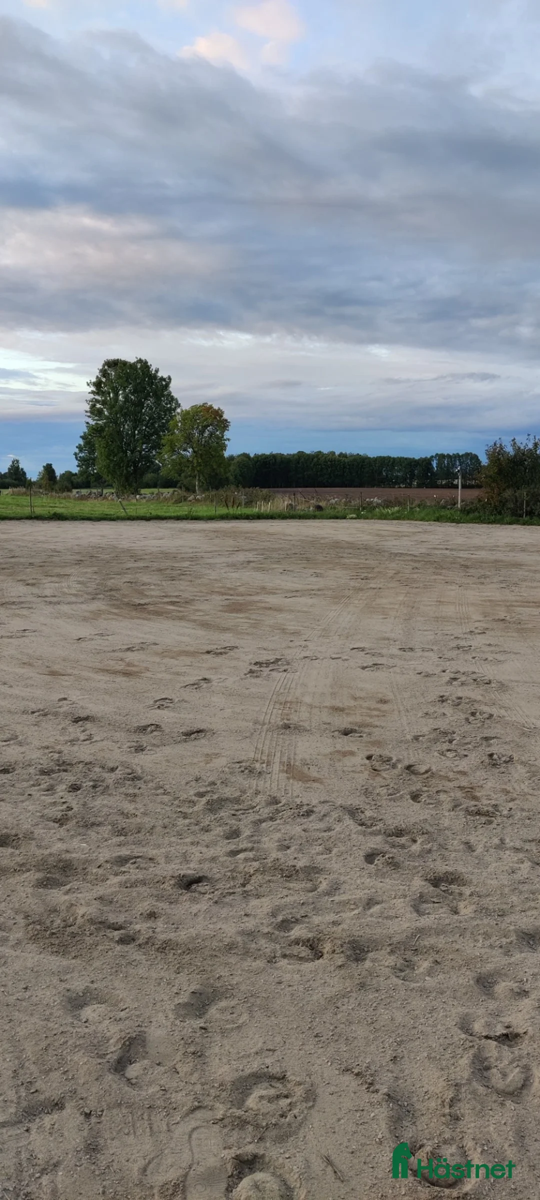  stallplats finnes: Stallplatser uthyres  i Broddetorp - Annons 3