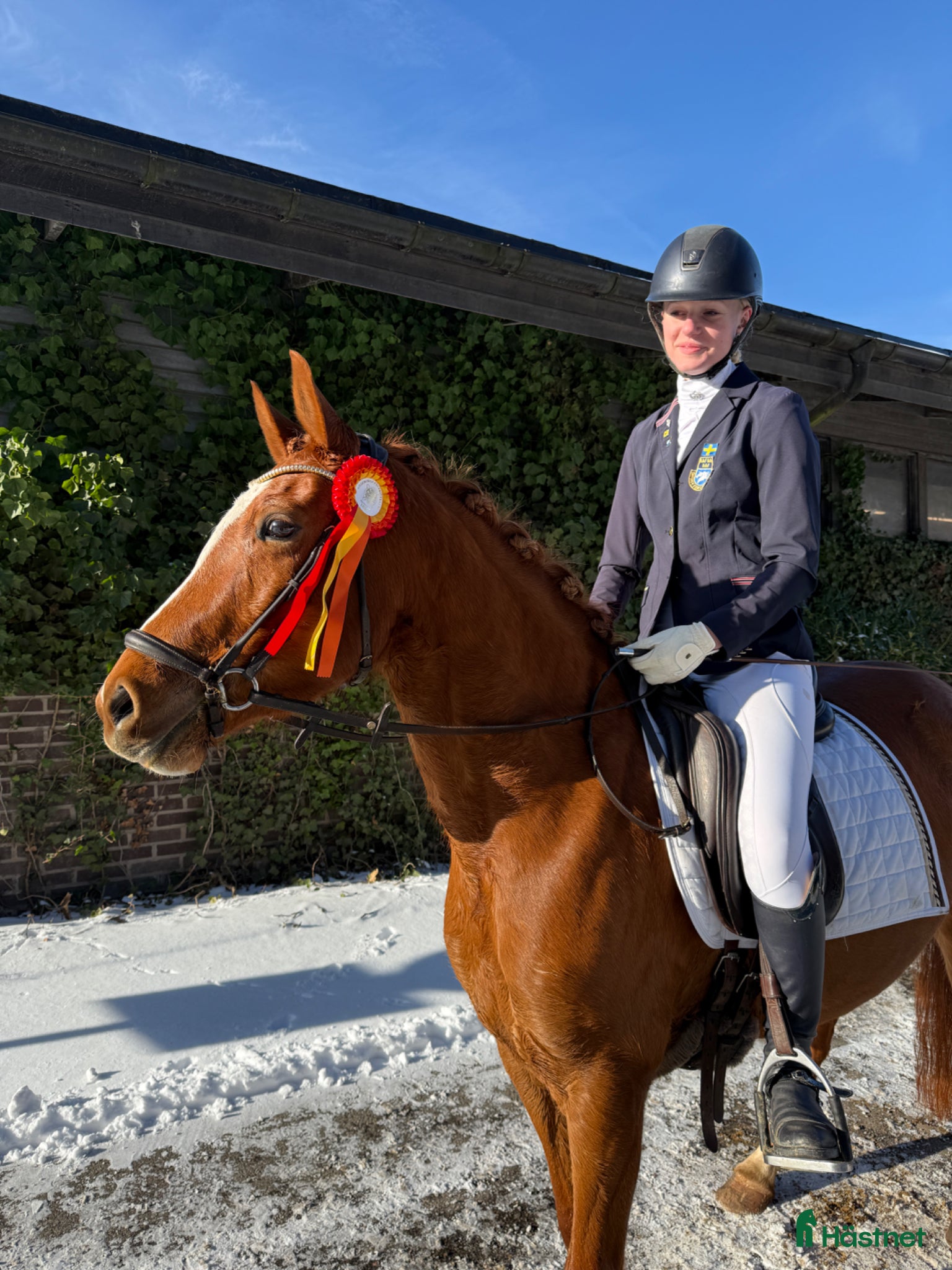  hästar Framtida mästerskapsponny - Annons 10