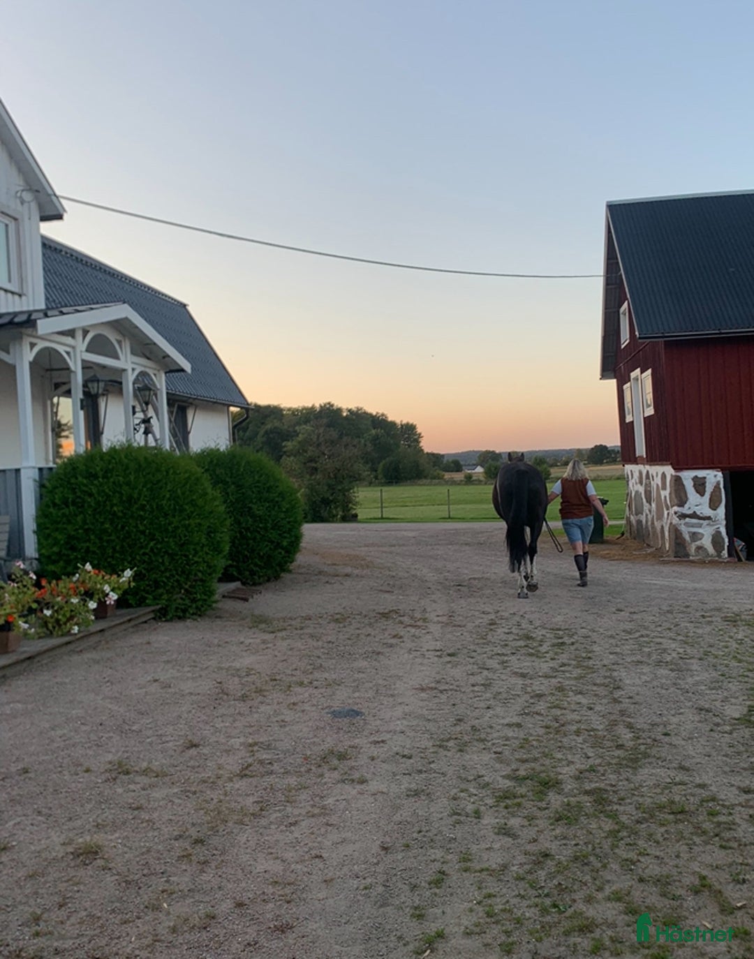  medryttarhäst finnes: Medryttare sökes till Helge 1–2 gånger i veckan i Hanaskog - Annons 9