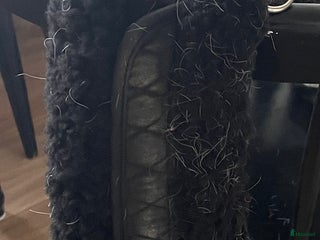 Sadeltillbehör hästutrustning till salu: Mattes sv crescent special platinum 120cm i Simrishamn - Annons 11