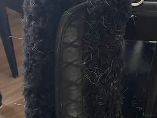 Sadeltillbehör hästutrustning till salu: Mattes sv crescent special platinum 120cm i Simrishamn - Annons 19