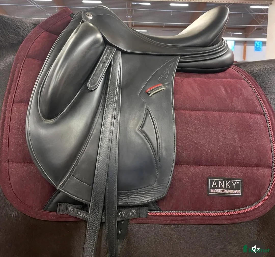 Schabrak & Vojlockar hästutrustning till salu: Anky Dressyrschabrak ”Leafs” Port Royale - Annons 2