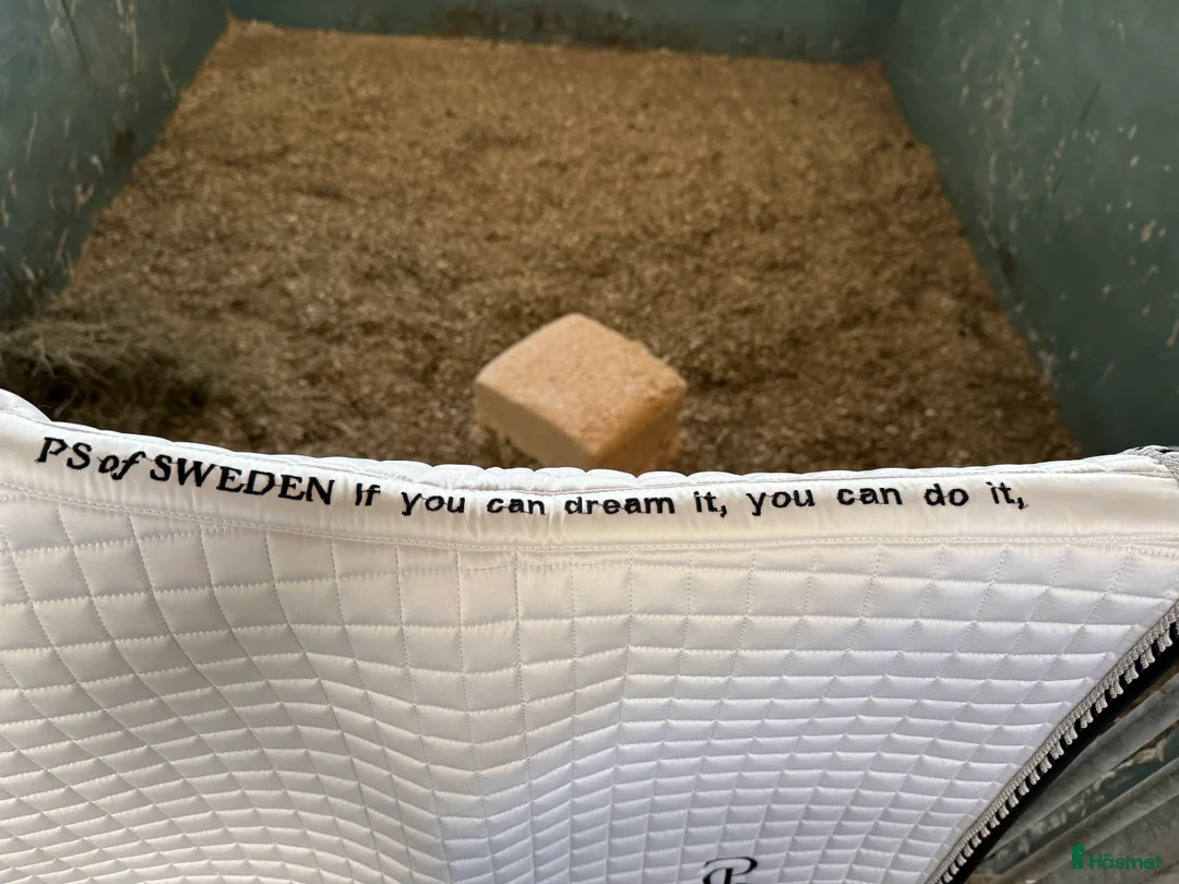 Schabrak & Vojlockar hästutrustning till salu: Ps of sweden schabrak  i Vännäs - Annons 2