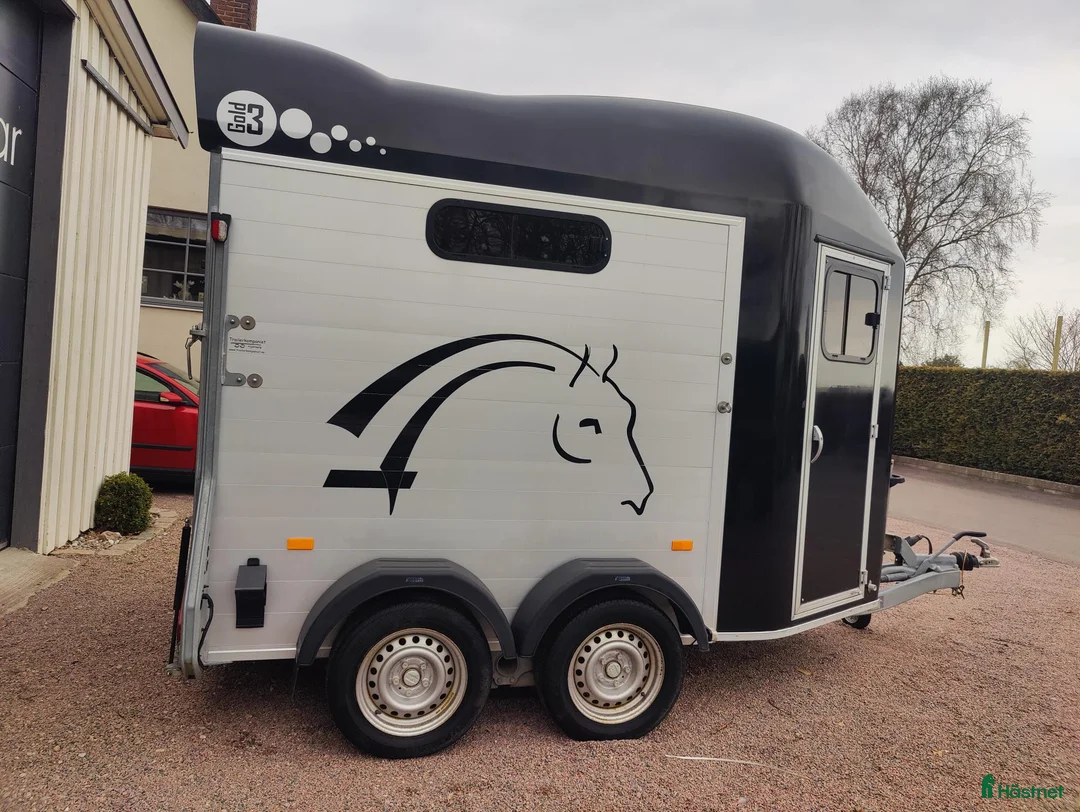 Hästtransporter  fordon & transport till salu: Cheval Liberte Gold 3, 2019 - Annons 7